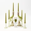 Hot Mrs. Alice Green Parrot Candlescape
