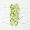 New Mrs. Alice Green Saddle Stitch Napkin Bows (Set Of 4)