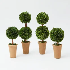 Online Mrs. Alice Passalacqua Decoration Set