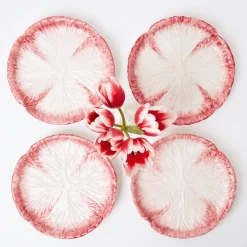Clearance Mrs. Alice Pink Capri Lettuce Starter Plate (Set Of 4)