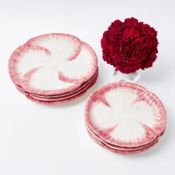 Clearance Mrs. Alice Pink Capri Lettuce Starter Plate (Set Of 4)