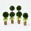 Best Mrs. Alice Potted Boxwood With Green Bow Decoration Set